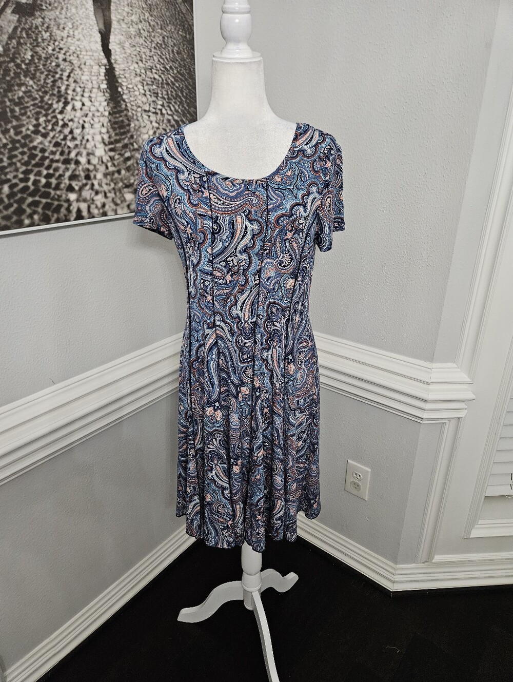 Sere Nade Blue Paisley Short Sleeve Swing Dress Size Large